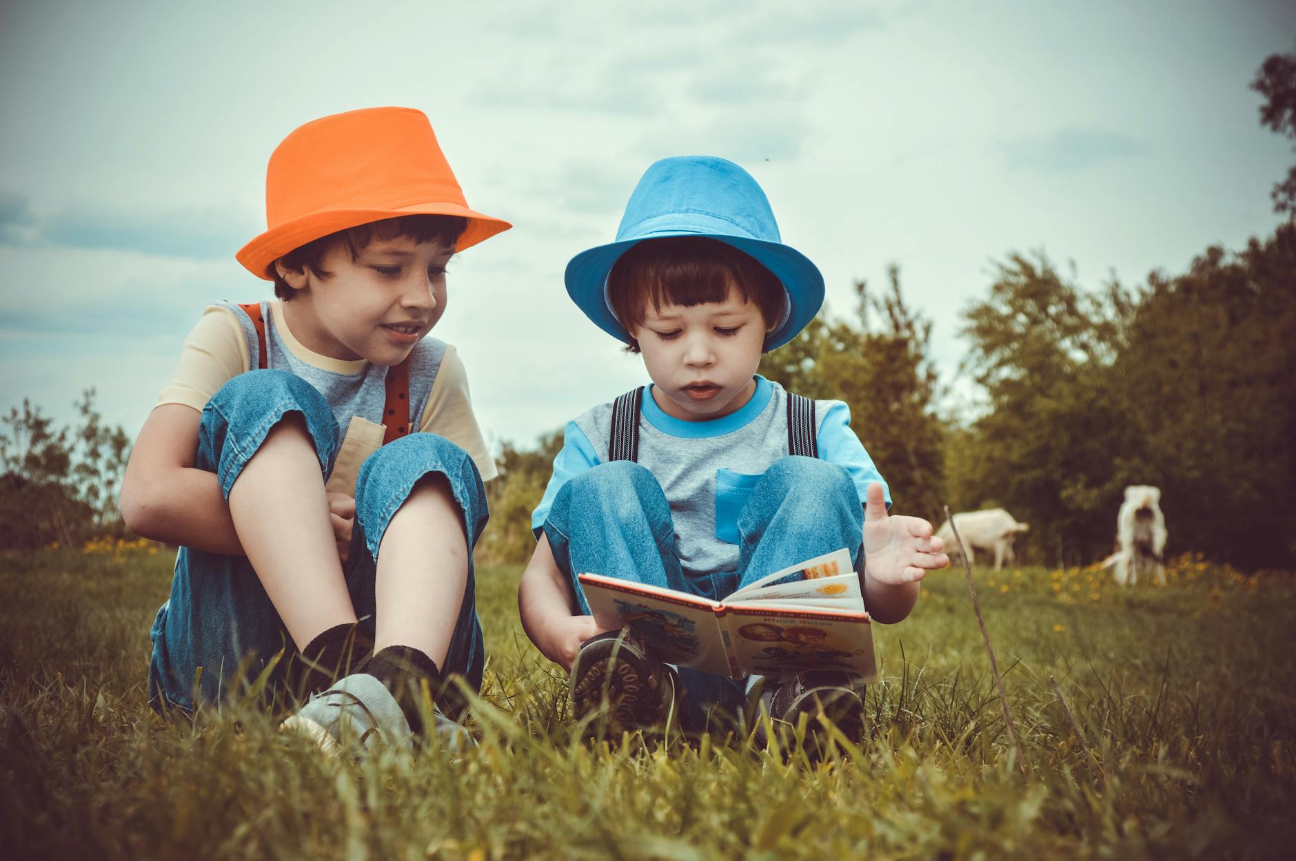 kids sitting on green grass reading a book